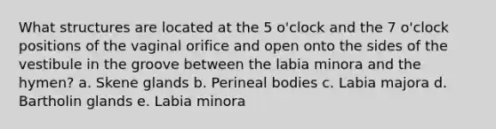 What structures are located at the 5 o'clock and the 7 o'clock positions of the vaginal orifice and open onto the sides of the vestibule in the groove between the labia minora and the hymen? a. Skene glands b. Perineal bodies c. Labia majora d. Bartholin glands e. Labia minora