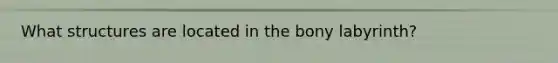 What structures are located in the bony labyrinth?