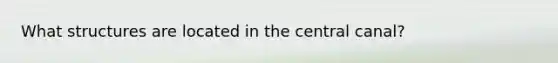 What structures are located in the central canal?