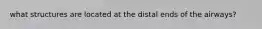 what structures are located at the distal ends of the airways?
