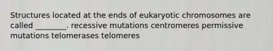 Structures located at the ends of eukaryotic chromosomes are called ________. recessive mutations centromeres permissive mutations telomerases telomeres