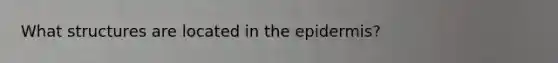 What structures are located in <a href='https://www.questionai.com/knowledge/kBFgQMpq6s-the-epidermis' class='anchor-knowledge'>the epidermis</a>?