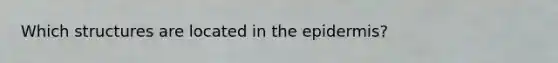 Which structures are located in the epidermis?
