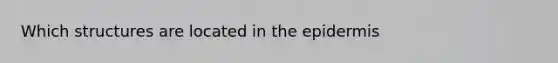 Which structures are located in the epidermis