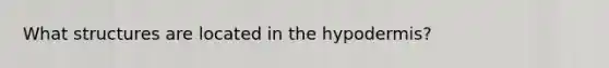 What structures are located in the hypodermis?