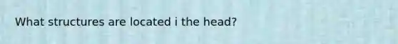 What structures are located i the head?