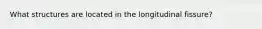 What structures are located in the longitudinal fissure?