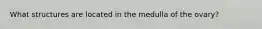 What structures are located in the medulla of the ovary?