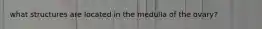 what structures are located in the medulla of the ovary?