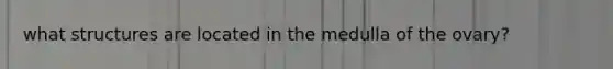what structures are located in the medulla of the ovary?