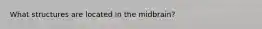 What structures are located in the midbrain?