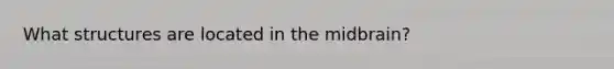 What structures are located in the midbrain?