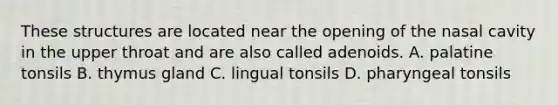 These structures are located near the opening of the nasal cavity in the upper throat and are also called adenoids. A. palatine tonsils B. thymus gland C. lingual tonsils D. pharyngeal tonsils