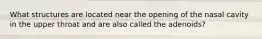 What structures are located near the opening of the nasal cavity in the upper throat and are also called the adenoids?