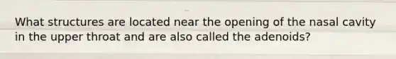 What structures are located near the opening of the nasal cavity in the upper throat and are also called the adenoids?