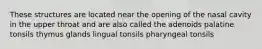 These structures are located near the opening of the nasal cavity in the upper throat and are also called the adenoids palatine tonsils thymus glands lingual tonsils pharyngeal tonsils