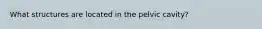 What structures are located in the pelvic cavity?