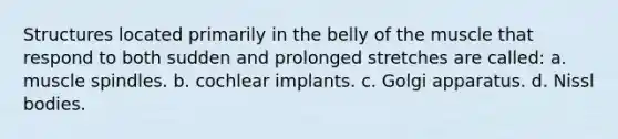 Structures located primarily in the belly of the muscle that respond to both sudden and prolonged stretches are called: a. muscle spindles. b. cochlear implants. c. Golgi apparatus. d. Nissl bodies.