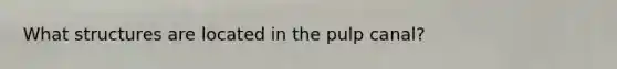 What structures are located in the pulp canal?