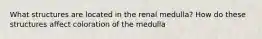 What structures are located in the renal medulla? How do these structures affect coloration of the medulla