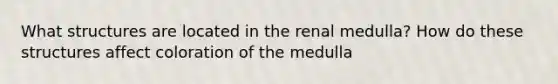 What structures are located in the renal medulla? How do these structures affect coloration of the medulla