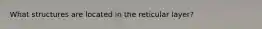 What structures are located in the reticular layer?