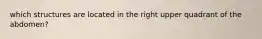 which structures are located in the right upper quadrant of the abdomen?
