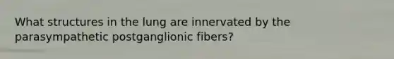 What structures in the lung are innervated by the parasympathetic postganglionic fibers?