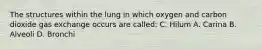 The structures within the lung in which oxygen and carbon dioxide gas exchange occurs are called: C. Hilum A. Carina B. Alveoli D. Bronchi