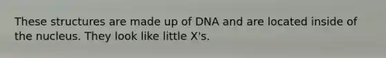 These structures are made up of DNA and are located inside of the nucleus. They look like little X's.