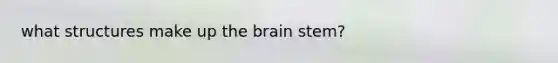 what structures make up the brain stem?