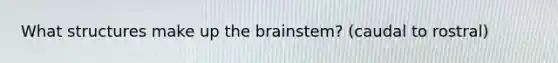 What structures make up the brainstem? (caudal to rostral)