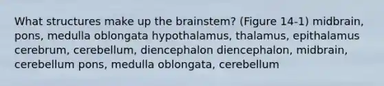 What structures make up the brainstem? (Figure 14-1) midbrain, pons, medulla oblongata hypothalamus, thalamus, epithalamus cerebrum, cerebellum, diencephalon diencephalon, midbrain, cerebellum pons, medulla oblongata, cerebellum