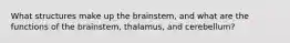 What structures make up the brainstem, and what are the functions of the brainstem, thalamus, and cerebellum?