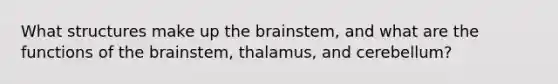 What structures make up the brainstem, and what are the functions of the brainstem, thalamus, and cerebellum?