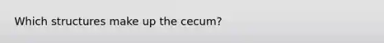 Which structures make up the cecum?