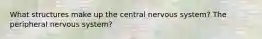 What structures make up the central nervous system? The peripheral nervous system?