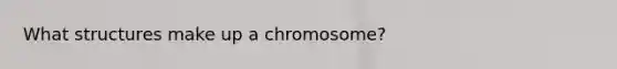 What structures make up a chromosome?