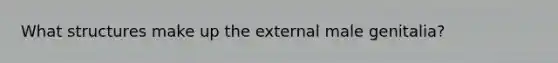 What structures make up the external male genitalia?