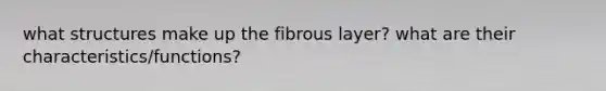 what structures make up the fibrous layer? what are their characteristics/functions?