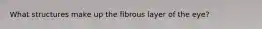 What structures make up the fibrous layer of the eye?