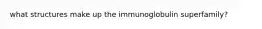 what structures make up the immunoglobulin superfamily?