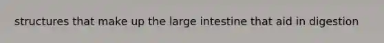 structures that make up the <a href='https://www.questionai.com/knowledge/kGQjby07OK-large-intestine' class='anchor-knowledge'>large intestine</a> that aid in digestion