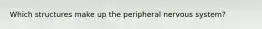 Which structures make up the peripheral nervous system?