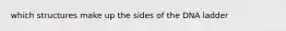 which structures make up the sides of the DNA ladder