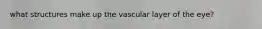 what structures make up the vascular layer of the eye?