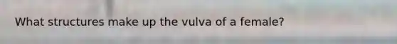 What structures make up the vulva of a female?