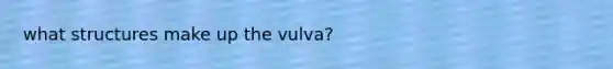 what structures make up the vulva?