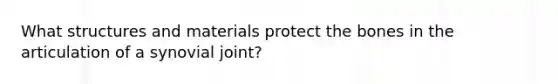 What structures and materials protect the bones in the articulation of a synovial joint?