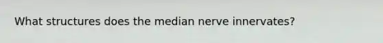 What structures does the median nerve innervates?